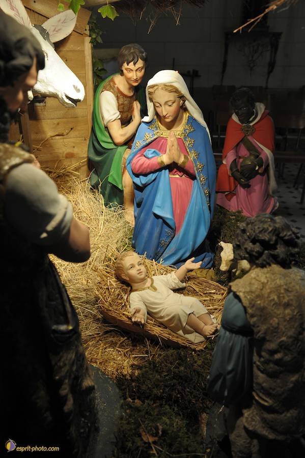 Nom de l'image : D30043069_1_(c)Norbert-JUNG — Description :